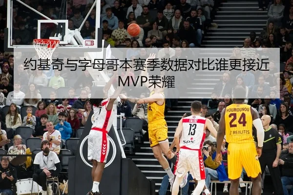约基奇与字母哥本赛季数据对比谁更接近MVP荣耀